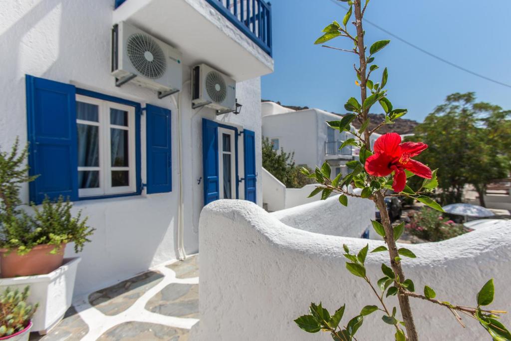 Edem Garden Residence room 4